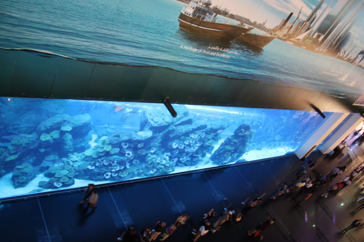 Dubai Mall Indoor Aquarium